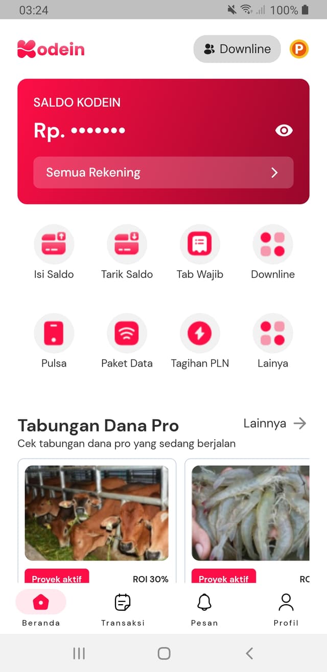 Kodein App